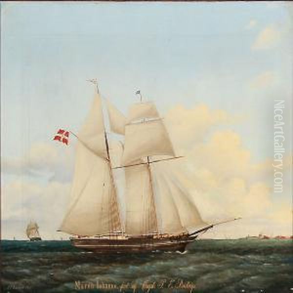 The Schooner Maren Johanne On Copenhagen Roadstead Under The Command Of Capt Oil Painting by Jens Thielsen Locher