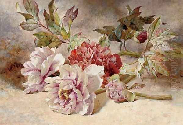 Still life of rununculas and peonies Oil Painting by Helen Cordelia Coleman Angell