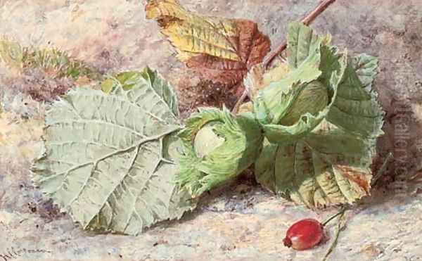 Still life of hazelnuts and a rose hip Oil Painting by Helen Cordelia Coleman Angell