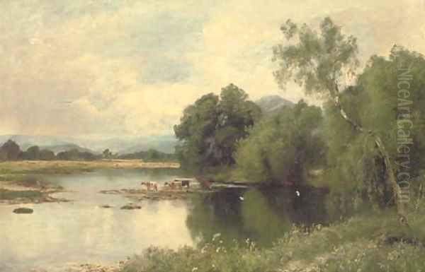 Cattle watering by a tranquil river Oil Painting by John Clayton Adams