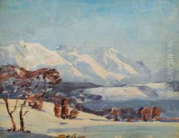 'chiemgau-tinninger See'/'winterlandschaft' Oil Painting by Emil Thoma