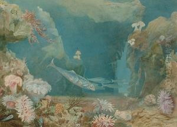 The Garden Of The Nereides; Gurnards From The Brighton Aquarium Oil Painting by Fanny E. Thomas