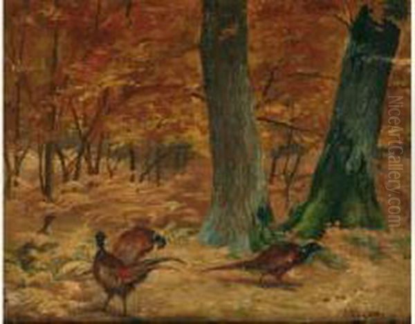 Faisan Dans Un Sous-bois Oil Painting by Adolphe Thomasse