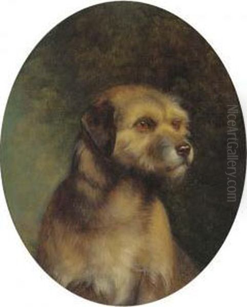 Sandy, A Border Terrier Oil Painting by J. Christian Thompson