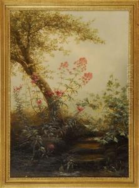 Forest Stream With Flowering Foliage Oil Painting by Jerome B. Thompson