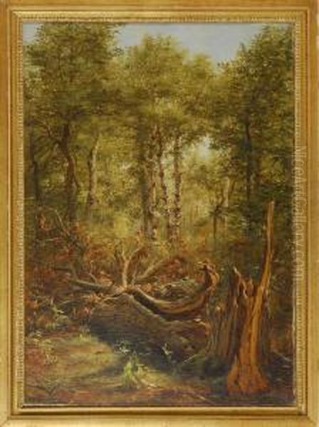 Forest Interior With Fallen Tree Oil Painting by Jerome B. Thompson