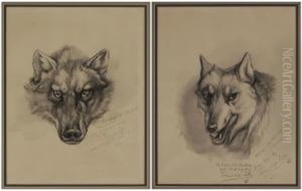 Two Wolf Portraits Oil Painting by Earnest Thompson Seton