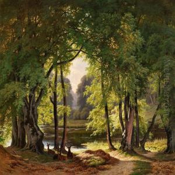 Deer In Dyrehaven North Of Copenhagen Oil Painting by August Carl Vilhelm Thomsen