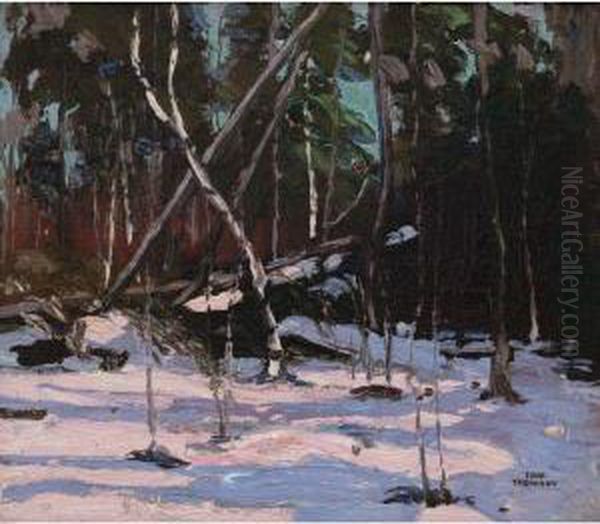 Early Snow, Algonquin Park Oil Painting by Tom Thomson