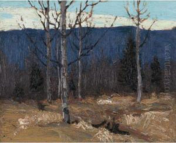 Hillside On Big Cauchon Lake - Algonquin Park Oil Painting by Tom Thomson