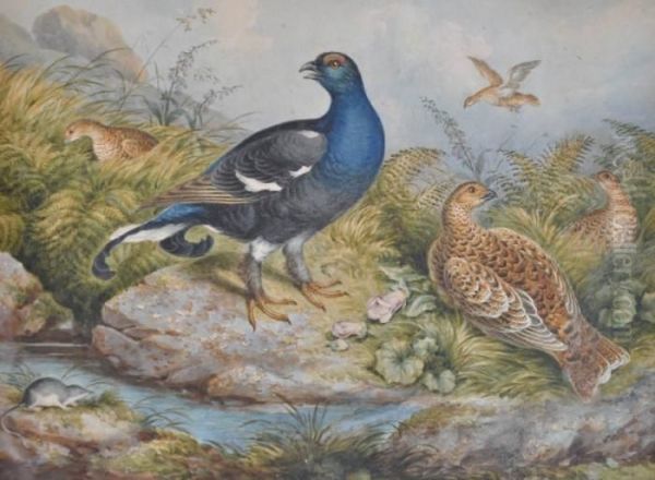 Game Birds And A Foal On The Banks Of A Stream Oil Painting by Archibald Thorburn