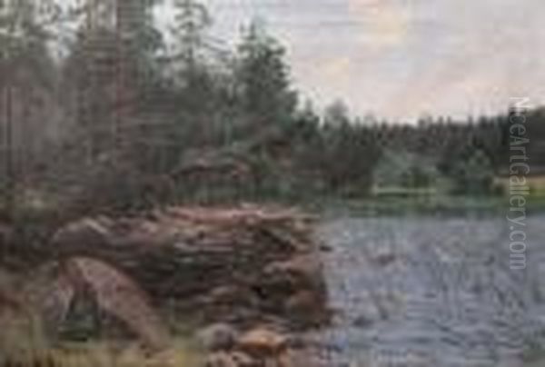 Insjolandskap Med Klippor Och Vass Oil Painting by Alfred Thorne