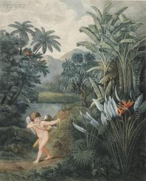 Temple Of Flora Oil Painting by Robert John, Dr. Thornton