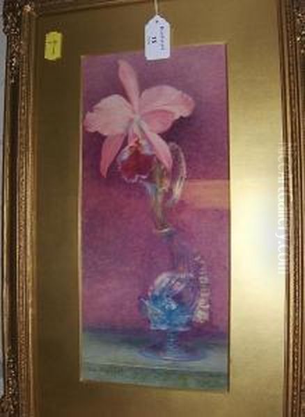 Still Life Of A Lily In A Venetian Glass Vase Oil Painting by Helen Thornycroft