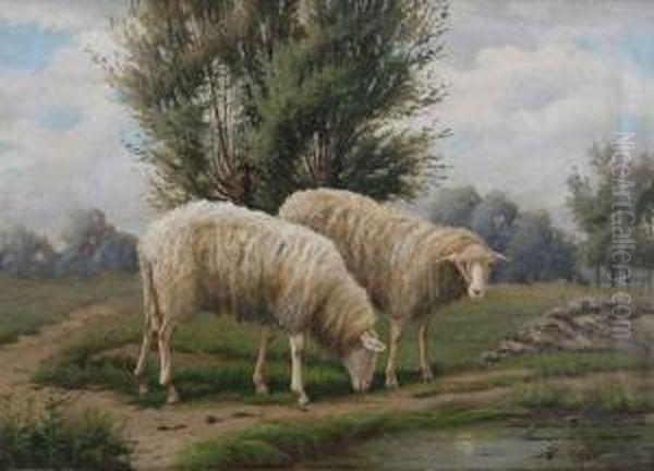 Schapen Aan De Drinkplaats Oil Painting by H. Thys