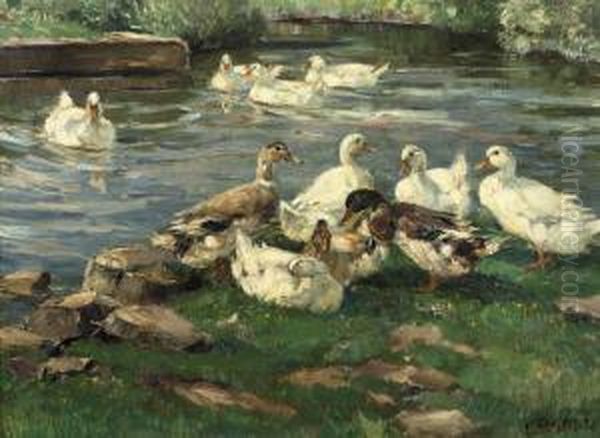 Enten Am Bach: Ducks By A Pond Oil Painting by Willy Tiedjen