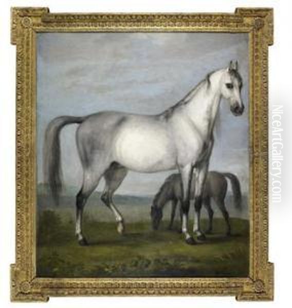 A Grey Mare And A Foal In An Extensive Hilly Landscape Oil Painting by Peter Tillemans