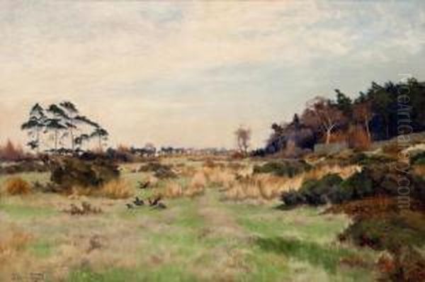 Near Harewood Park, Yorks Oil Painting by William Edwin Tindall