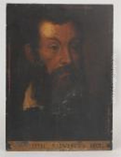 Portrait Of A Man Oil Painting by Domenico Tintoretto