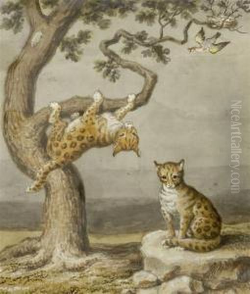 Tree With Two Ocelots And A Bird's Nest Oil Painting by Johann Heinrich Wilhelm Tischbein I