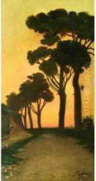  Les Pins Au Soleil Couchant  Oil Painting by Felix Elie Tobeen