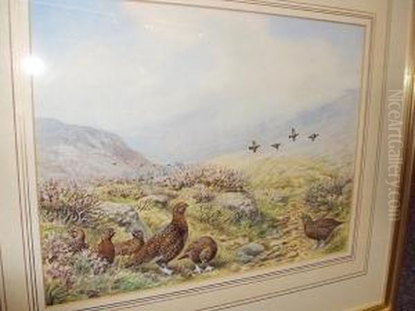 Red Grouse Oil Painting by Henry Stanley Todd