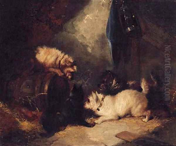 Terriers ratting in a Barn Oil Painting by George Armfield