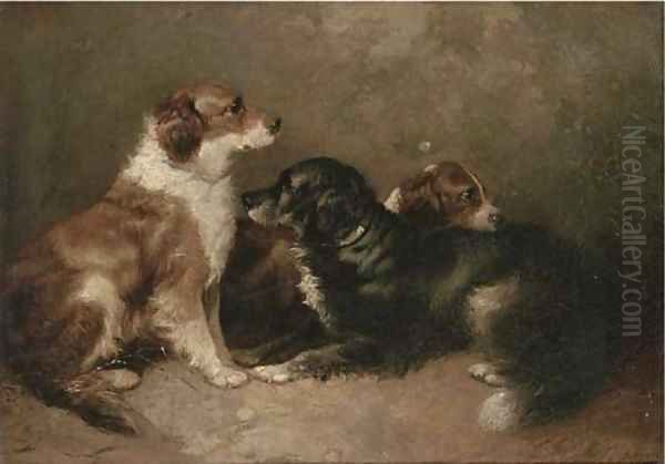 Resting setters Oil Painting by George Armfield