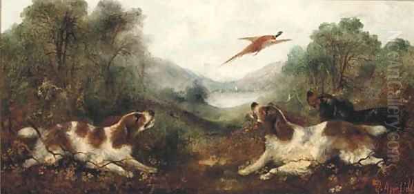 Spaniel putting a pheasant up Oil Painting by George Armfield