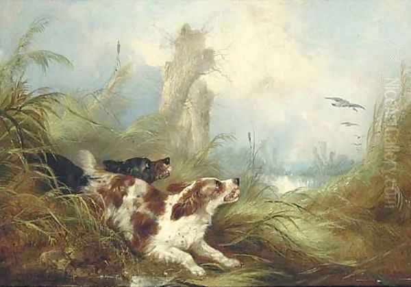 Spaniels flushing out mallards Oil Painting by George Armfield