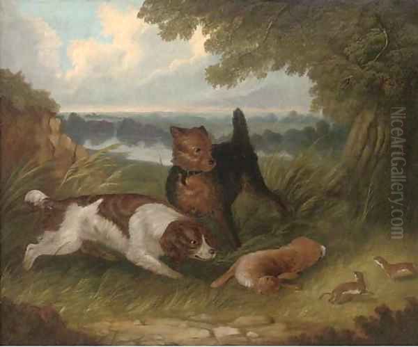 A terrier and spaniel with a hare Oil Painting by George Armfield