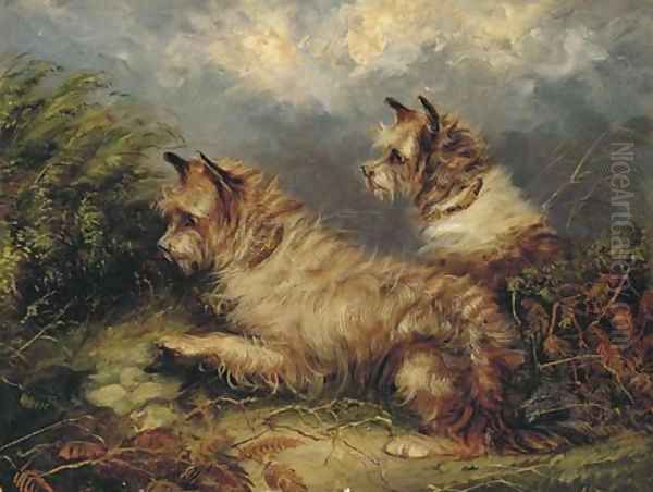 Terriers at a rabbit hole Oil Painting by George Armfield