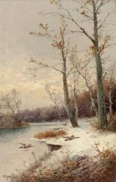 Enten Im Winter Amfluss Oil Painting by Tolqyes