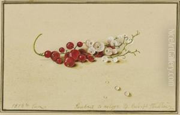 Tolstoi Red And White Currants Oil Painting by Fedor Tolstoy Petrovich