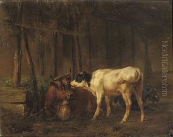 Cattle In The Stable Oil Painting by Jan Bedijs Tom