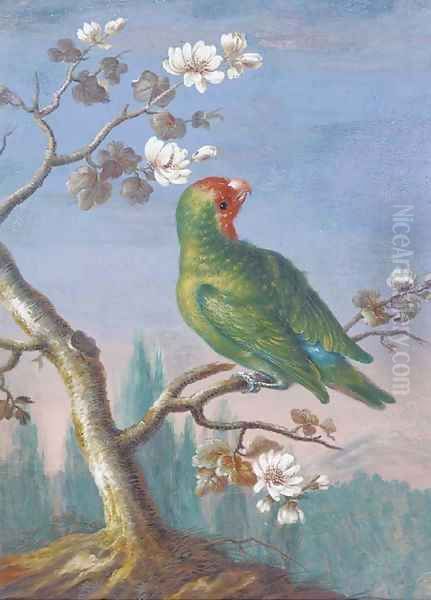 A Red Fronted Parakeet Oil Painting by Christoph Ludwig Agricola