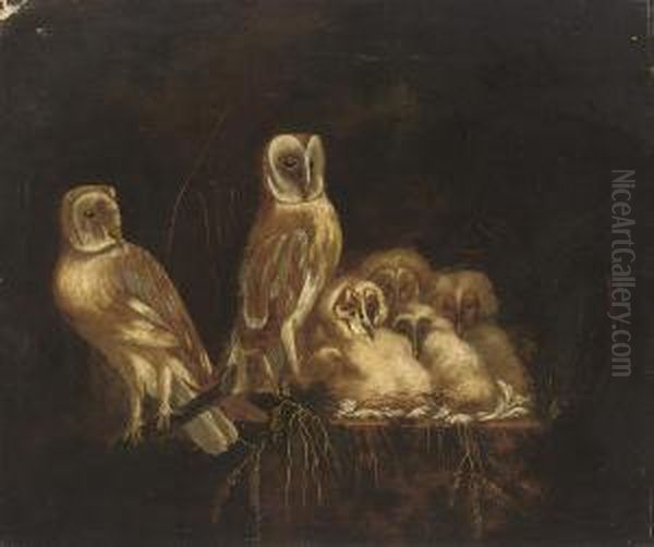 A Parliament Of Owls In A Nest Oil Painting by William Tomkins