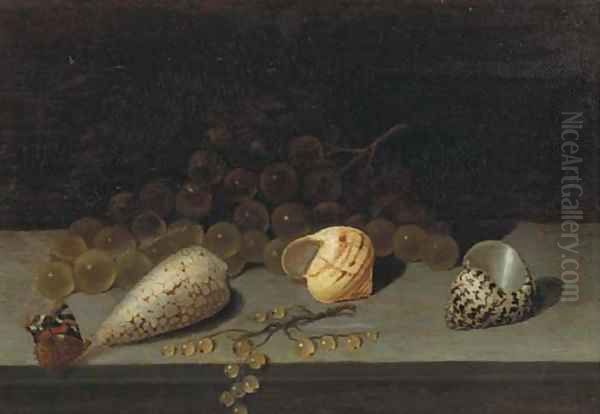 Shells, a brunch of white grapes, white currants and a butterfly on a ledge Oil Painting by Balthasar Van Der Ast