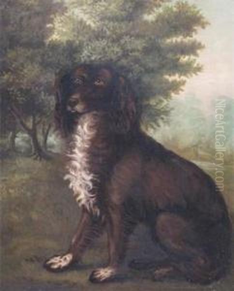 Irish Water Spaniel In A Landscape Oil Painting by Clifton Tomson