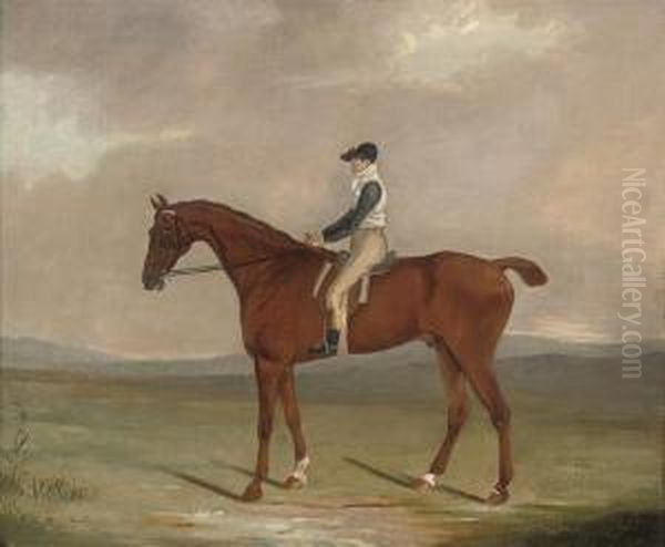 Racehorse Frillo Da Pieta With Jockey Up Oil Painting by Clifton Tomson