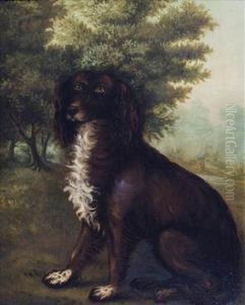 Portrait Of Anirish Water Spaniel Seated Within A Landscape Oil Painting by Clifton Tomson