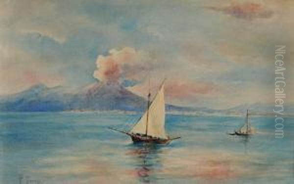 Veduta Del Vesuvio Dal Mare Conimbarcazioni Oil Painting by Francesco Saverio Torcia