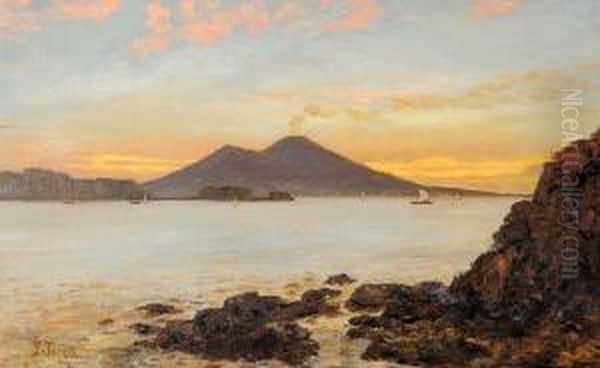 Marina Al Tramonto Sullo Sfondo Del Vesuvio Oil Painting by Francesco Saverio Torcia