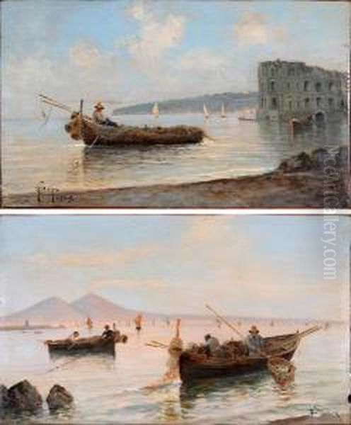 Marina Di Napoli Sullo Sfondo Delvesuvio Oil Painting by Francesco Saverio Torcia