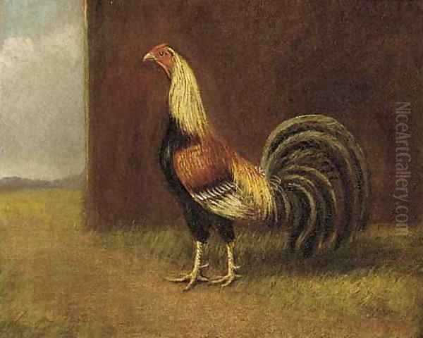 A game cock Oil Painting by Henry Thomas Alken