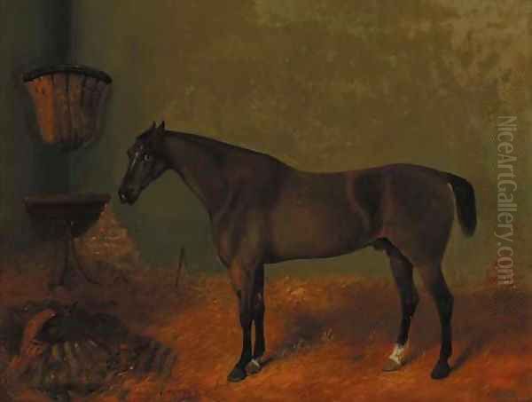 A liver chestnut hunter in a loosebox Oil Painting by Richard Ansdell