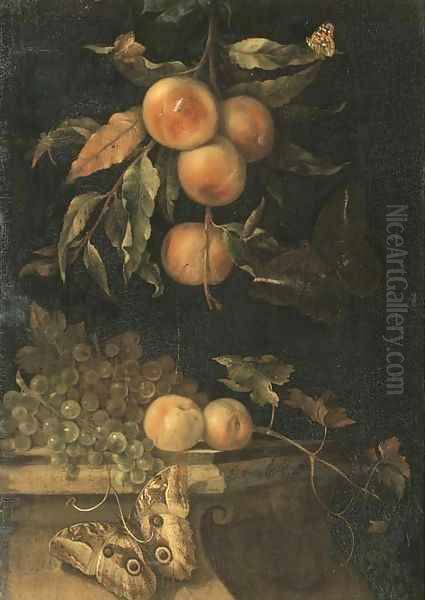 A still life with peaches and butterflies on a ledge Oil Painting by Willem Van Aelst