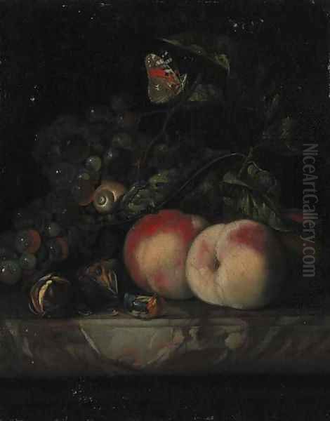 Grapes, peaches and walnuts, with a snail and a butterfly in foliage on a marble ledge Oil Painting by Willem Van Aelst