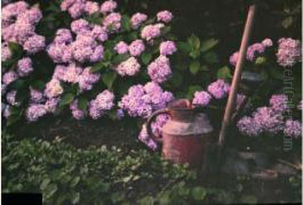 Coin De Jardin Aux Hortensias by Jean Baptiste Tournassoud