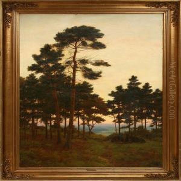 Evening Forest Scene Oil Painting by James Towers